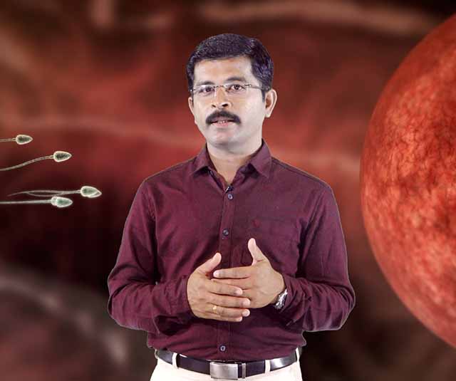 Beeja, beejabhaga, beejabhagaavayava and garbha linga vinishchaya - Part B